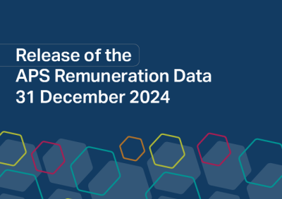 Release of the APS Remuneration Data 31 December 2024