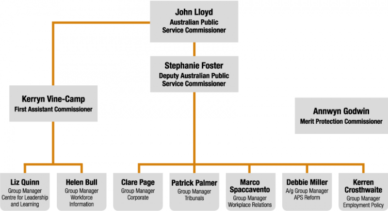 Image showing the APSC organisational structure
