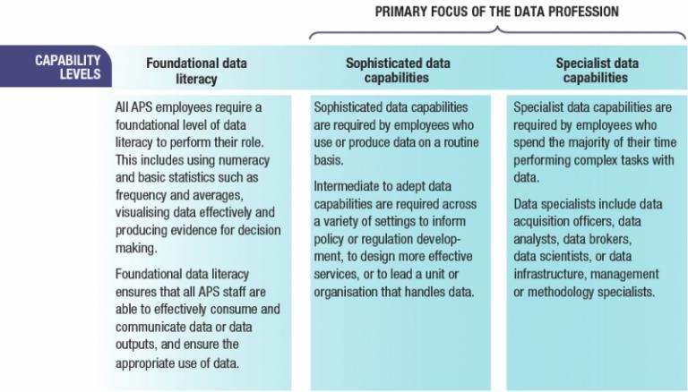 Descriptions of foundational data literacy, sophisticated data capabilities, and specialist data capabilities