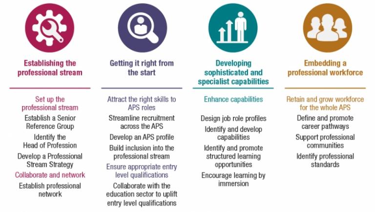 The four central themes of the APS Data Professional Stream Strategy with underlying practical initiatives.