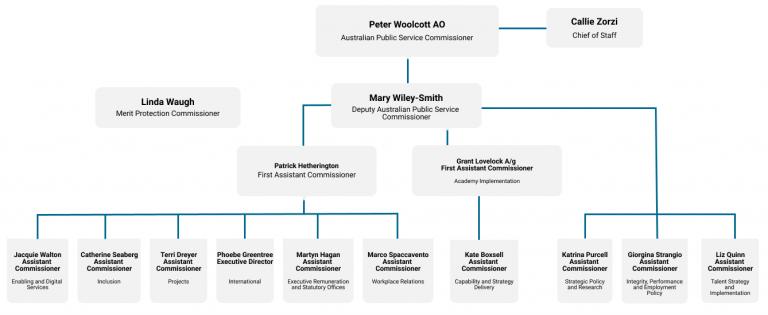 APSC Organisation Chart 2021