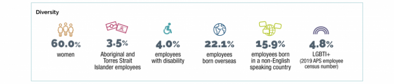 key diversity proportion statistics of the APS workforce. Women account for 60.0% of the workforce, 3.5% of the APS are Aboriginal and Torres Strait Islander and 4.0% are employees with disability. 22.1% of employees were born overseas and 15.9% of employees were born in a non-English speaking country. As per the 2019 APS employee census, 4.8% of the APS workforce are LGBTI+.