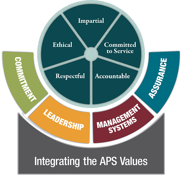 The integrating the APS Values framework