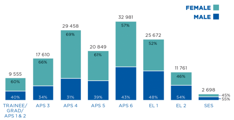 A stacked bar chart displays the number of APS employees by classification and the proportion within each classification by gender. 