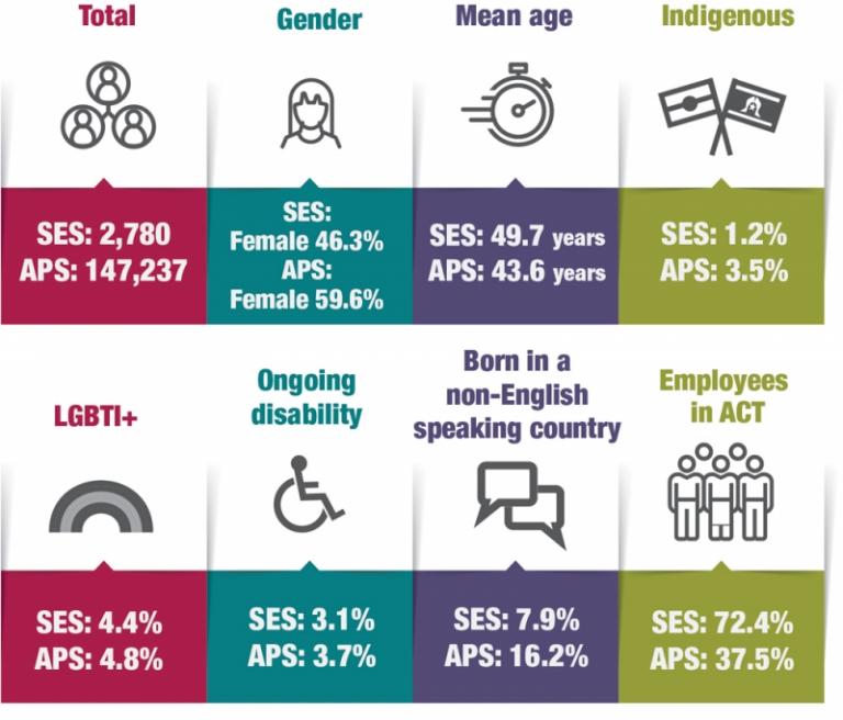 Figure 6.1 is an infographic that presents APS SES diversity information compared to whole of APS representation.