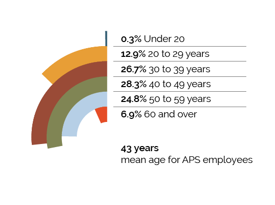This infographic shows the largest age group represented in the APS are 40 to 49 years of age at 28.3%, closely followed by 30 to 39 years of age at 26.7% and 50 to 59 years at 24.8%. Employees 20 to 29 years of age make up 12.9%.