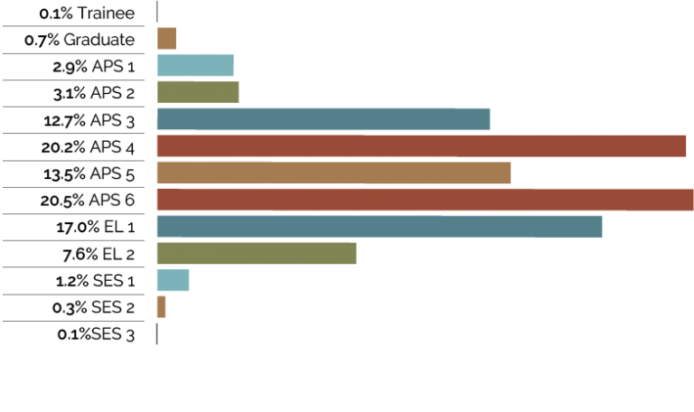 This infographic shows the largest classification group represented in the APS are APS 6 at 20.5%, closely followed by APS 4 at 20.2% and EL 1 at 17.0%. Of the APS workforce, employees at the APS 5 level represent 13.5%,