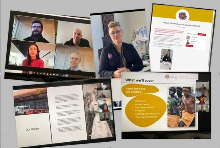 Collage of photographs with PowerPoint slides and videoconference meetings.