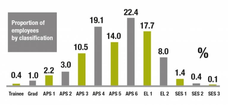 Infographic showing proportion of employees by classifications
