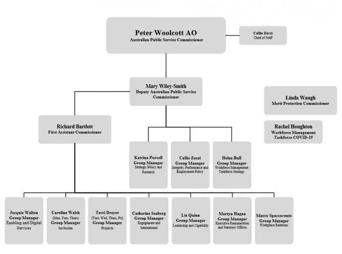 Figure 2: Organisational structure as at 30 June 2020