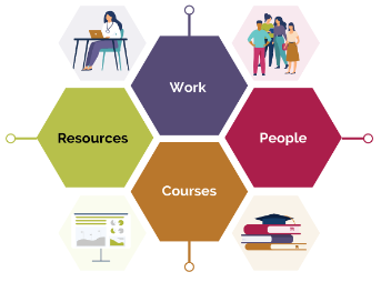 An illustration of the Continuous Learning Model. 4 coloured hexagons, purple, pink, orange and green, with the 4 Continuous Learning Model areas written on them. Work, People, Courses, Resources. 