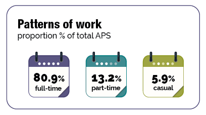 The image shows 3 calendars under the title Patterns of Work, proportion % of total APS. The first calendar says 80.9% work full-time. The second calendar says 13.2% work part-time and the final one says 5.9% are casual.
