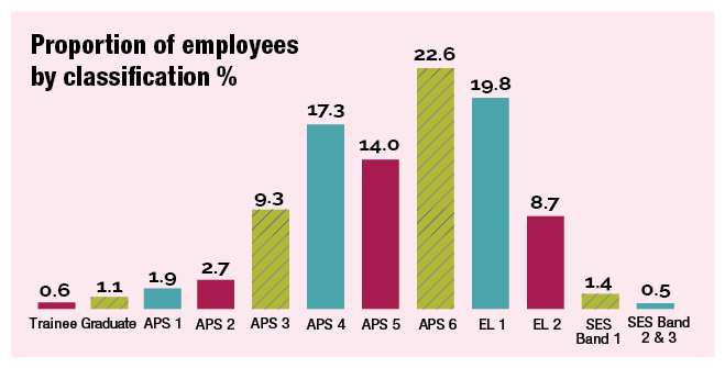 Breakdown of employees by classification %. Trainees 0.6%, Graduates 1.1%, APS1 1.9%, APS2 2.7%, APS3 9.3%, APS4, 17.3%, APS5 14.0%, APS6 22.6%, EL1 19.8%, EL2 8.7%, SES1, 1.4%, SES2 and SES 3, 0.5% combines