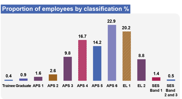 Proportion of employees by classification - An infographic displaying key statistics from the 2023 APS Employee Census and 30 June 2023 APSED data release. The APS 6 classification level has the highest proportion of employees at 22.9%, whilst the ACT has the highest number and proportion of employees at 64,943 (38.1%).