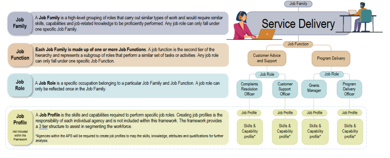 Diagram showing job families, job function and job roles