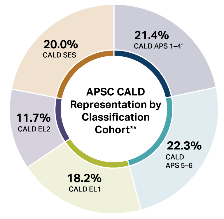 Pie chart showing APSC CALD Representation by Classification Cohort. The title has two asterisk related to the footnote under this image.  The top right segment of the pie chart shows CALD APS 1-4 staff is 21.4 % with one asterisk, see footnote. The segment below has CALD APS 5-6 staff is 22.3%, the bottom of the pie chart shows CALD EL1 staff is 18.2%, left segment shows CALD EL2 staff is 11.7% and the top left segment shows CALD SES is 20.0%.