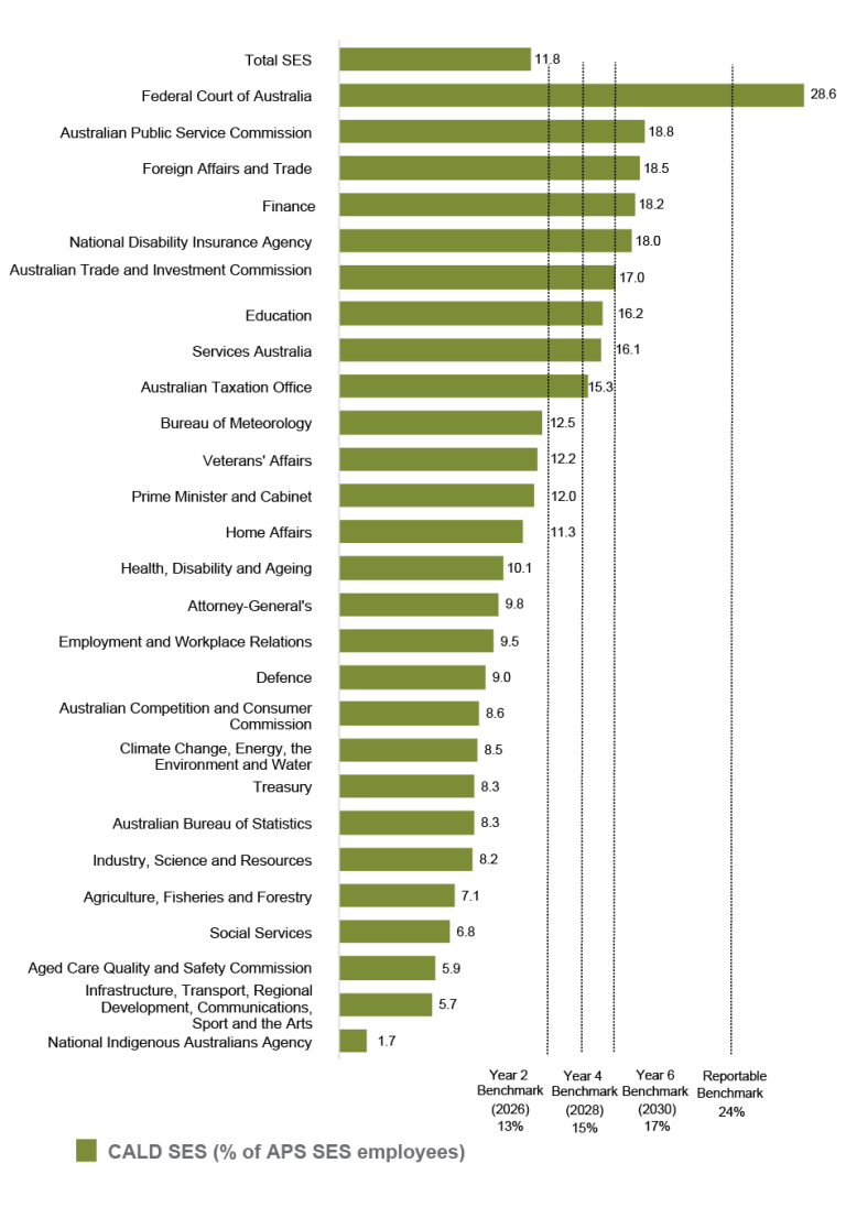 A bar graph showing the percentage of CALD SES employees by agency at 30 June 2025, as recorded in APSED. The graph shows benchmarks for: Year 2 - 2026 (13%), Year 4 - 2028 (15%), Year 6- 2030 (17%), and Reportable Benchmark (24%). Data in this figure is also available in Table AB 3. 