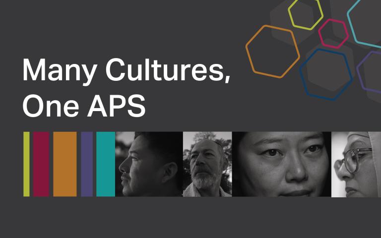 a picture of 4 persons side by side and 5 thin coloured stripes on the left hand side of the faces and the heading “Many Cultures, One APS” above it