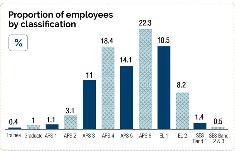 Data on the proportion of employees by classification. The APS6 and EL1 groups make up more than 40% of the APS. The APS4 and APS5 groups make up more than 30%.