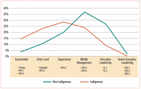 Profile of APS career stages Indigenous and non-indigenous