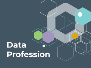 A series of coloured hexagons appear on the right hand side on a deep blue background. The words data profession are written in white text in the bottom left corner.