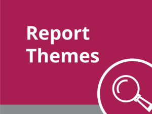 Report Themes, on a pink background with a magnifying glass icon